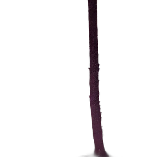 staff, sword, weapon, crown, 3d render, concept art, photorealistic, fantasy art transparent PNG cut-out