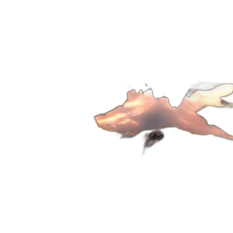 dragon, creature, animal, weapon transparent PNG cut-out