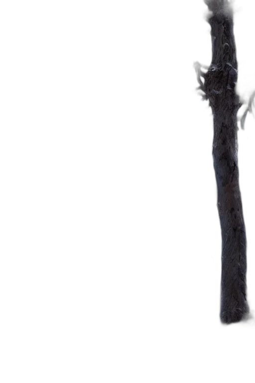 staff, hair, sword, tree transparent PNG cut-out