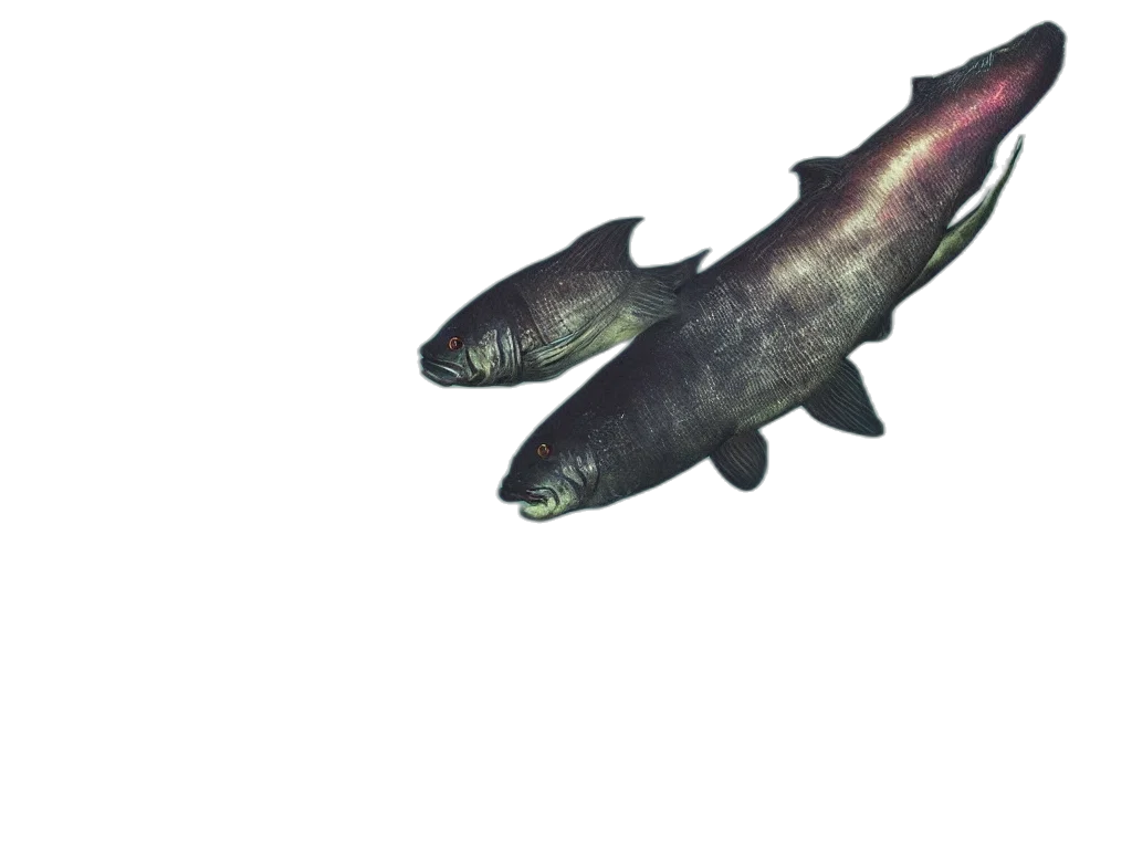 animal, creature, weapon, staff transparent PNG cut-out