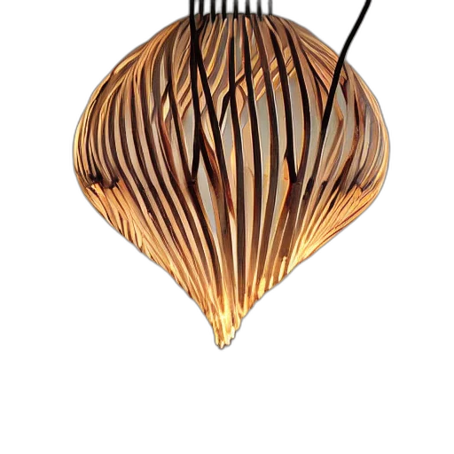 jewelry, crown, umbrella, hair transparent PNG cut-out