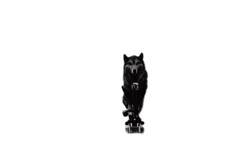 animal, creature, robot, staff transparent PNG cut-out