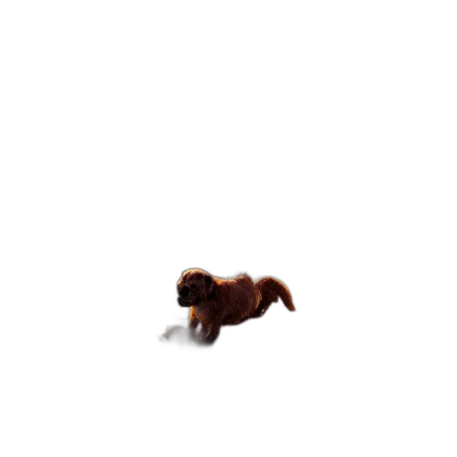 animal, creature, staff, hair transparent PNG cut-out