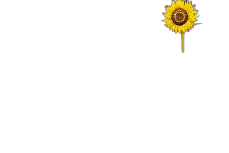 flower, staff, umbrella, crown, pixel art, 3d render, photorealistic, concept art transparent PNG cut-out