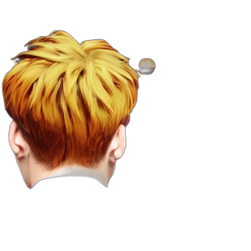 hair, crown, staff, hat transparent PNG cut-out
