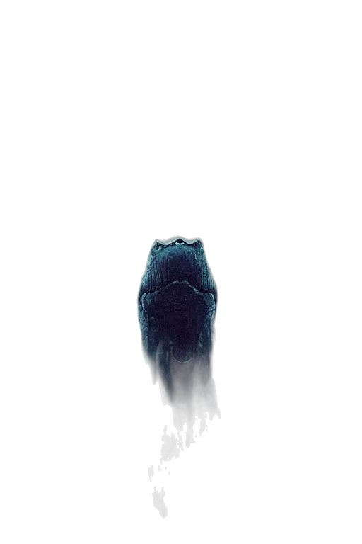 creature, animal, mask, hair, concept art, photorealistic, comic book art, fantasy art transparent PNG cut-out