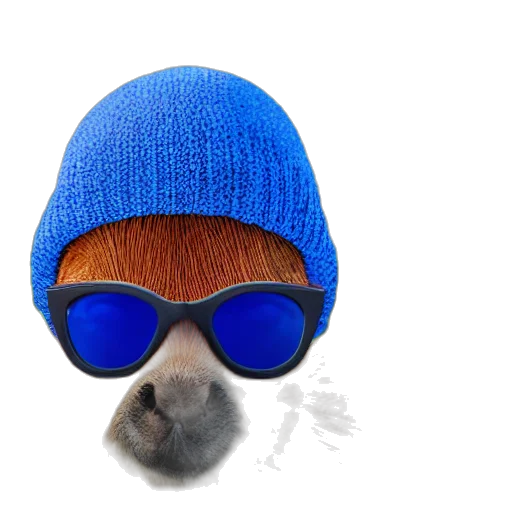 hat, mask, animal, jacket transparent PNG cut-out