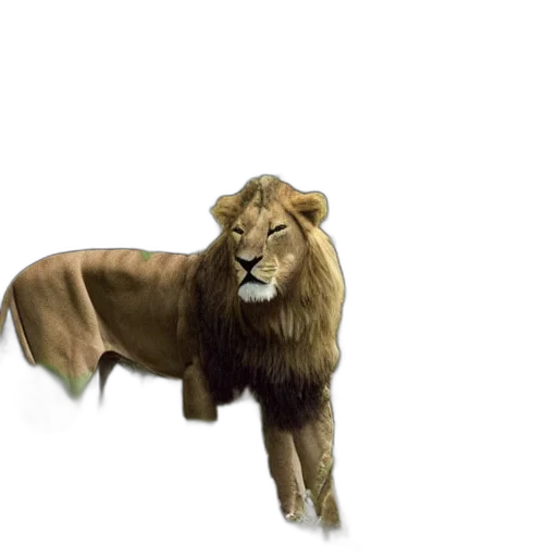 animal, crown, creature, staff, concept art, 3d render, photorealistic, fantasy art transparent PNG cut-out