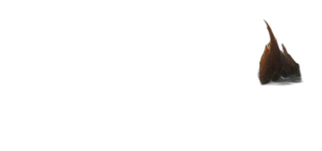 staff, face, monochrome, pastel transparent PNG cut-out