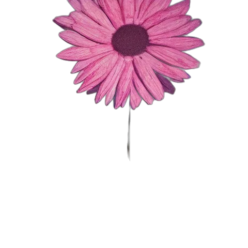 flower, umbrella, staff, jewelry, 3d render, photorealistic, watercolor, concept art transparent PNG cut-out