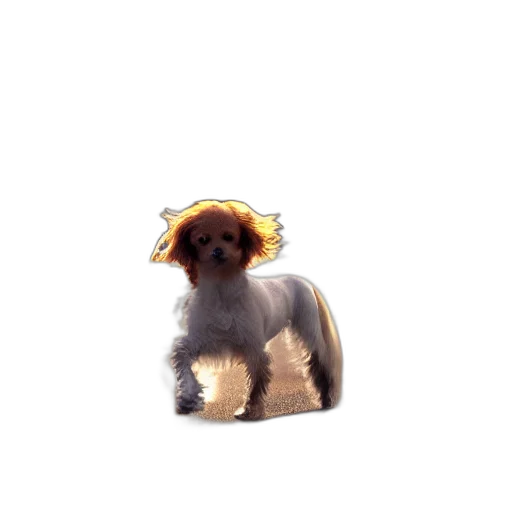 animal, creature, staff, crown transparent PNG cut-out