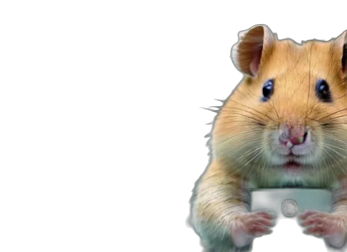 animal, creature, food, 3d render, photorealistic, film, still, hamster transparent PNG cut-out