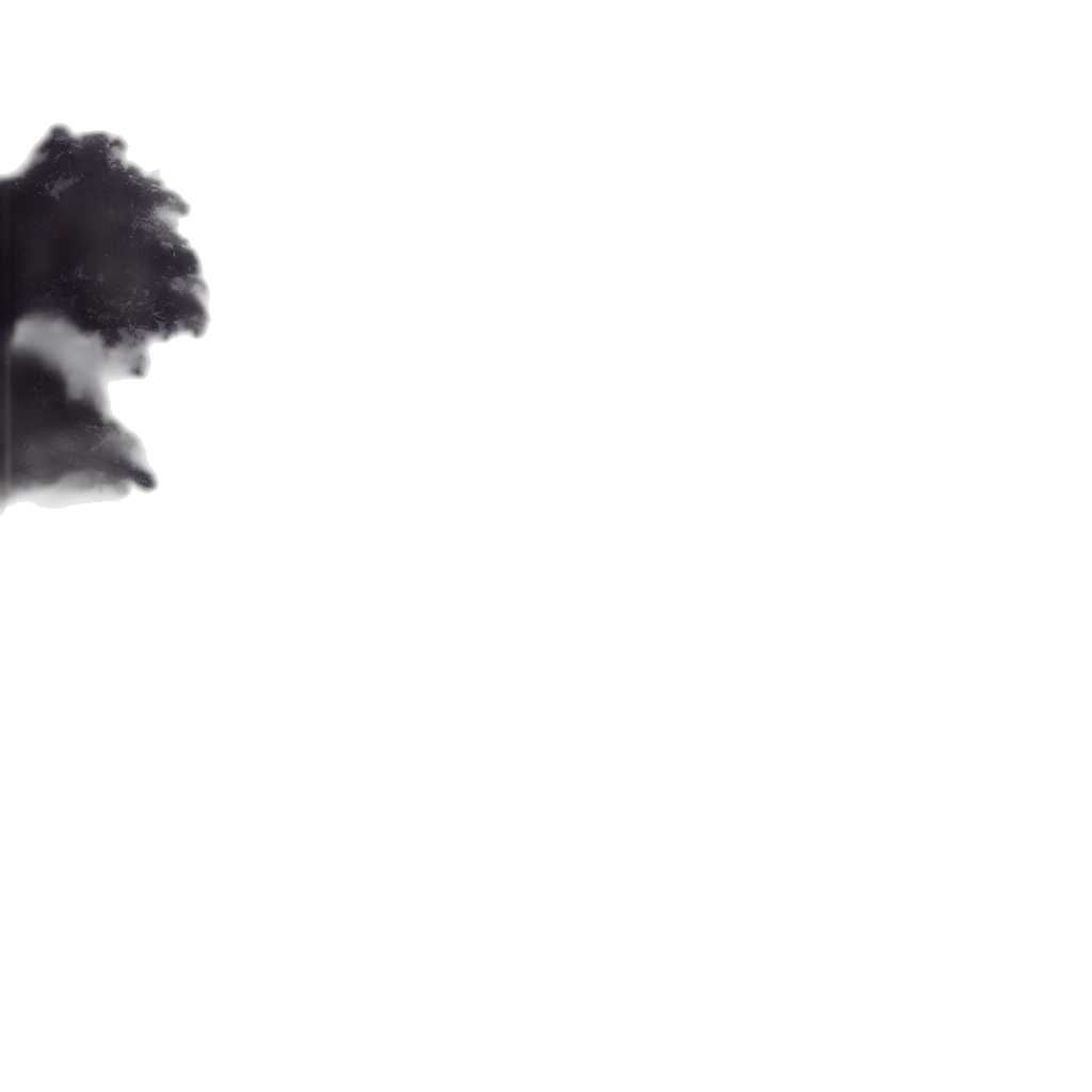 hair, crown, mask, face transparent PNG cut-out