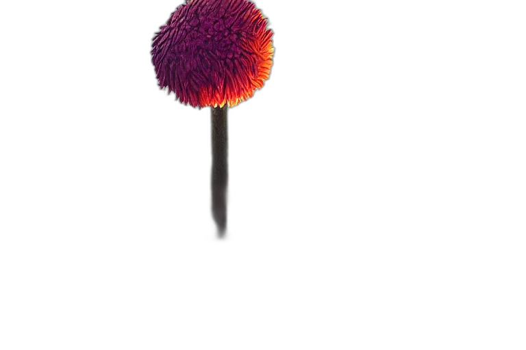 staff, hair, umbrella, flower transparent PNG cut-out