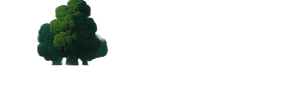 umbrella, staff, crown, tree transparent PNG cut-out