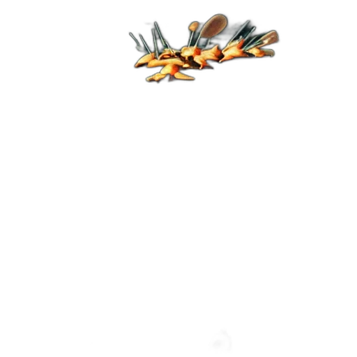 weapon, food, jewelry, shoes transparent PNG cut-out