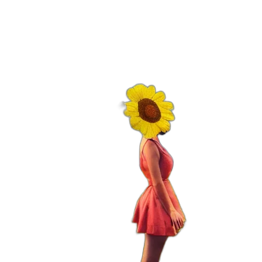 dress, flower, crown, hat, 3d render, concept art, pixel art, photorealistic transparent PNG cut-out