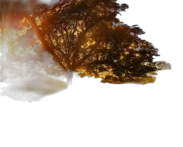 tree, dragon, hair, dress transparent PNG cut-out