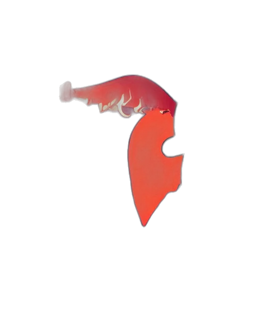 face, mask, dragon, staff, concept art, pixel art, anime, cartoon transparent PNG cut-out