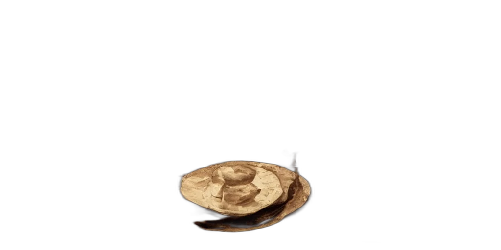 hat, jewelry, crown, hair transparent PNG cut-out