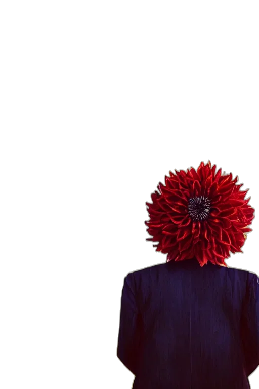 crown, hair, jacket, flower, concept art, anime, 3d render, photorealistic transparent PNG cut-out