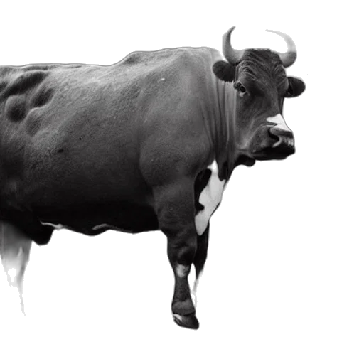 animal, photorealistic, concept art, 3d render transparent PNG cut-out
