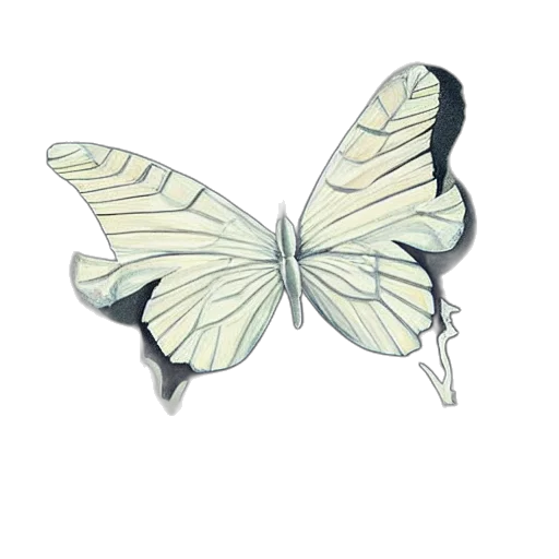 jewelry, animal, staff, flower transparent PNG cut-out