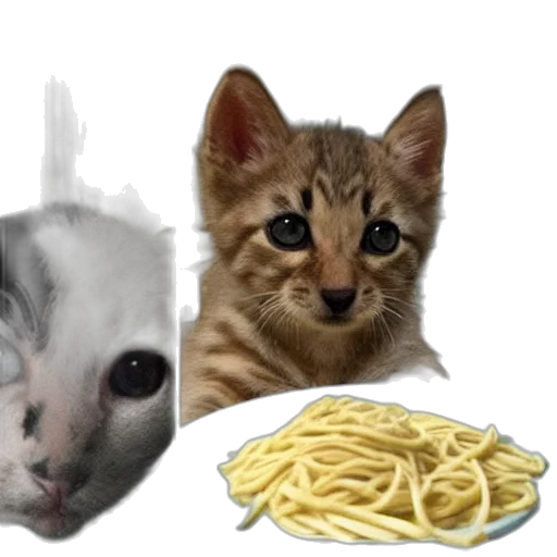 food, animal, creature, photorealistic transparent PNG cut-out