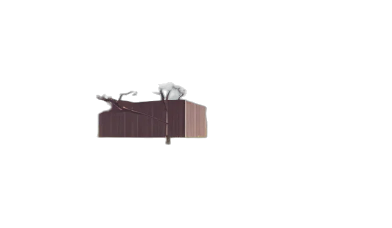 furniture, staff, animal, shoes transparent PNG cut-out