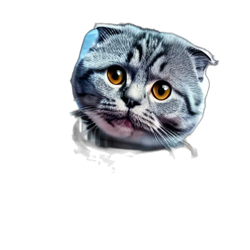 jewelry, animal, face, hat transparent PNG cut-out