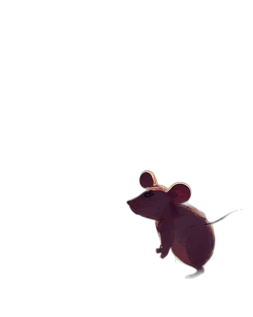 animal, creature, hat, food transparent PNG cut-out