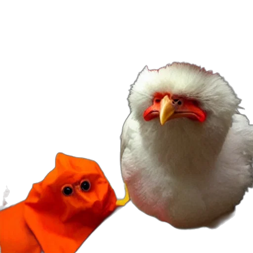 animal, mask, food, creature transparent PNG cut-out