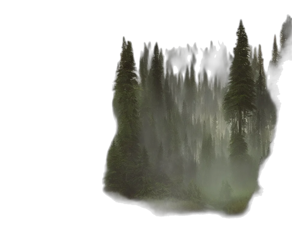 tree, creature, mask, hair transparent PNG cut-out