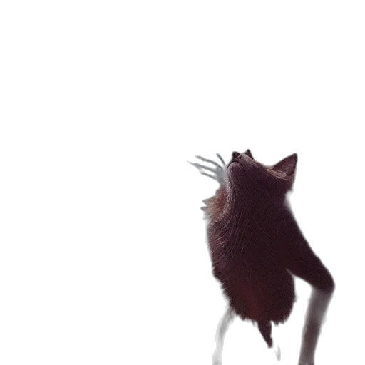 animal, creature, hair, staff, concept art, 3d render, photorealistic, anime transparent PNG cut-out