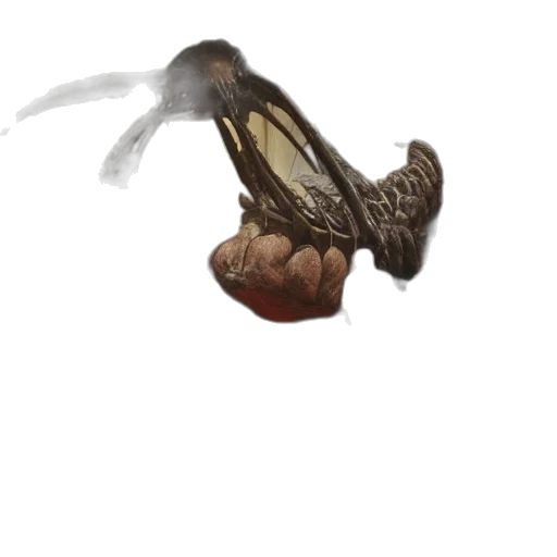 creature, animal, dragon, shoes, concept art, photorealistic, fantasy art, watercolor transparent PNG cut-out