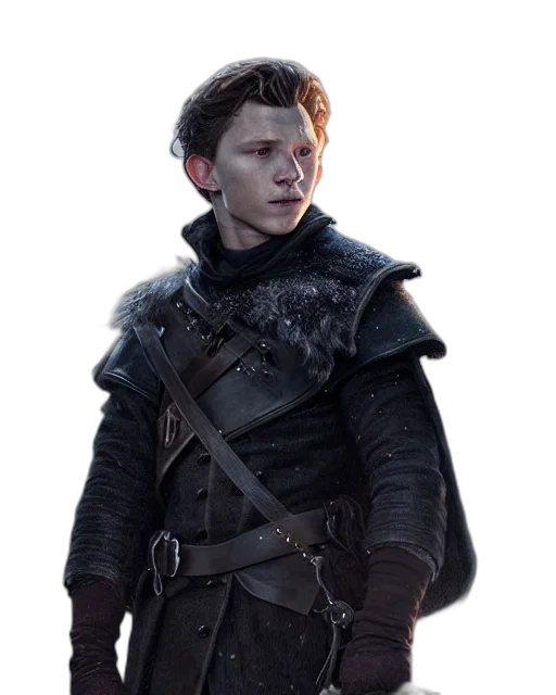 jacket, staff, face, dragon transparent PNG cut-out