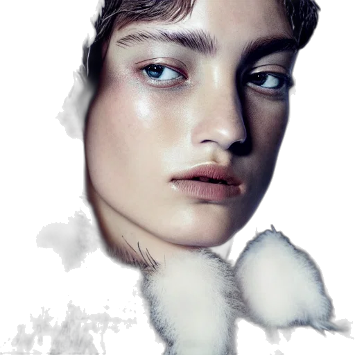 face, creature, animal, hat transparent PNG cut-out