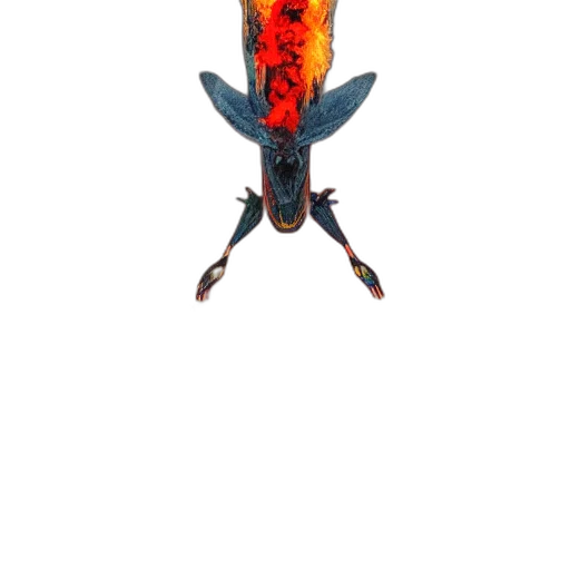 animal, dragon, creature, umbrella transparent PNG cut-out