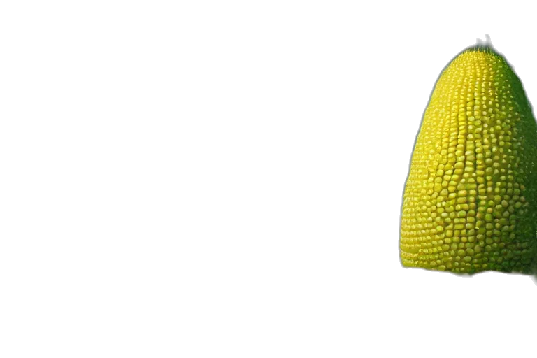hat, jacket, crown, umbrella, 3d render, photorealistic, neon, giant transparent PNG cut-out