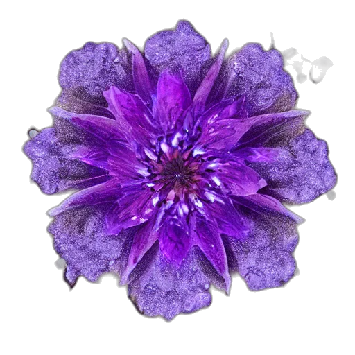 flower, crown, jewelry, staff transparent PNG cut-out