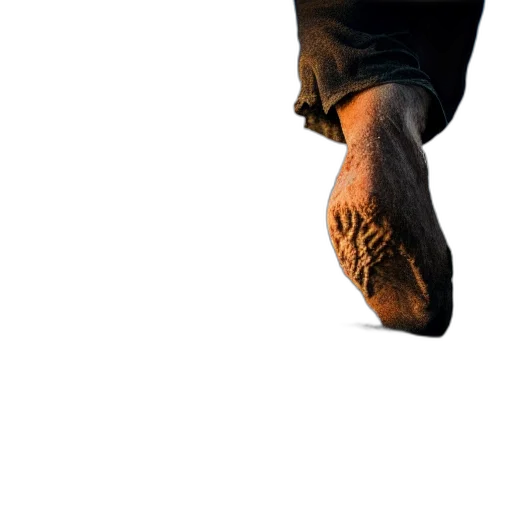 shoes, staff, face, animal transparent PNG cut-out