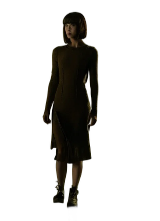 dress, staff, jewelry, jacket transparent PNG cut-out