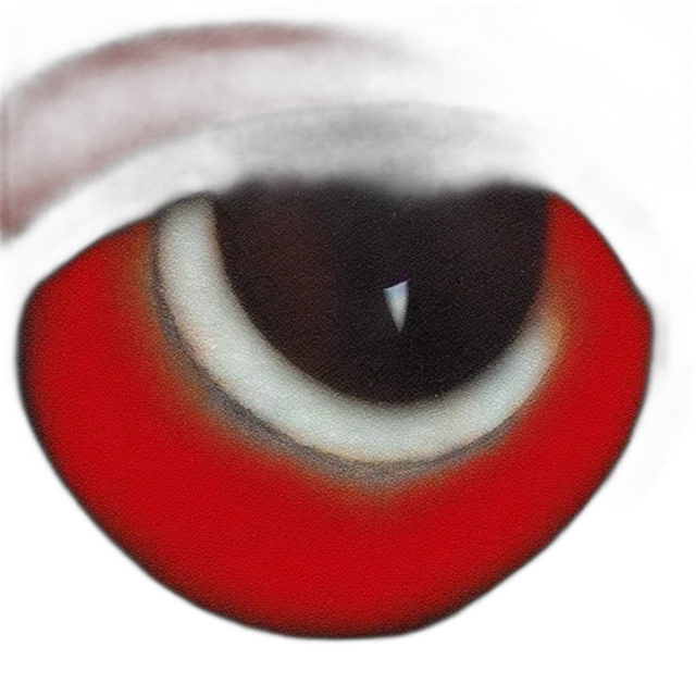 face, mask, creature, robot transparent PNG cut-out
