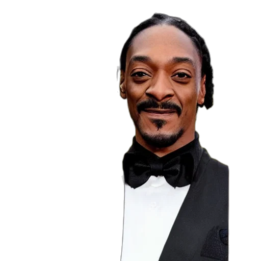 face, animal, hair, hat, cartoon, photorealistic, pixel art, anthony transparent PNG cut-out