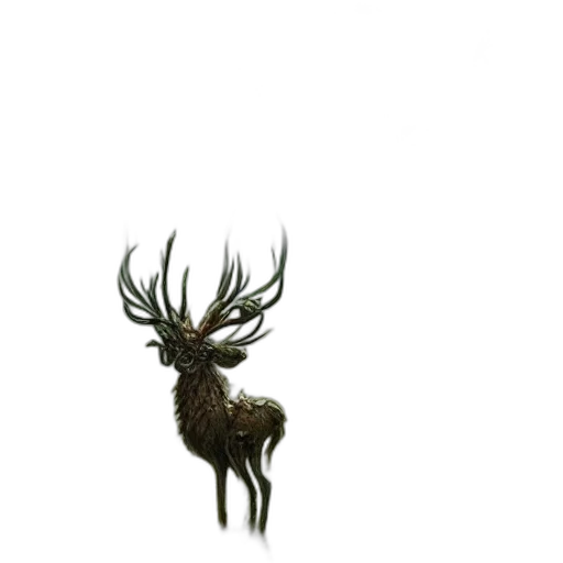 animal, crown, creature, hair transparent PNG cut-out