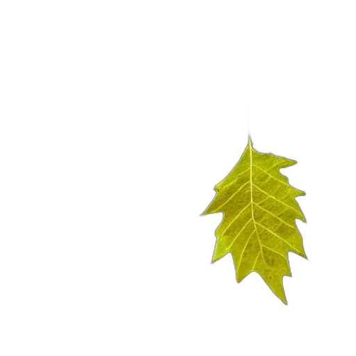 tree, crown, jewelry, animal transparent PNG cut-out