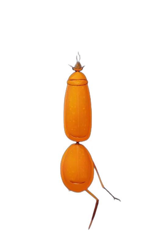 bottle, jewelry, staff, umbrella transparent PNG cut-out