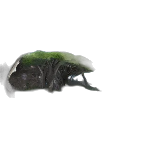 creature, animal, dragon, food transparent PNG cut-out