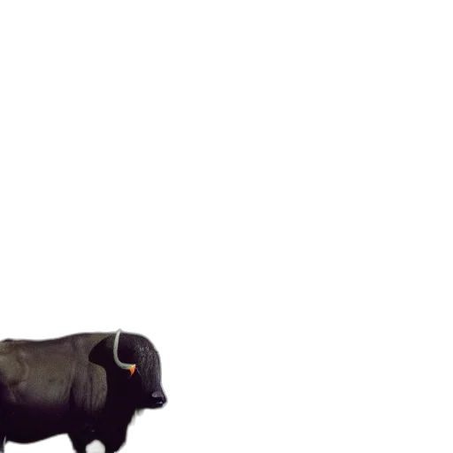 animal, creature, food, weapon, 3d render, pixel art, concept art, photorealistic transparent PNG cut-out