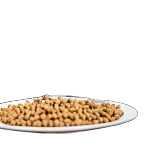 food, crown, jewelry, animal, 3d render, cat, suit, eating transparent PNG cut-out